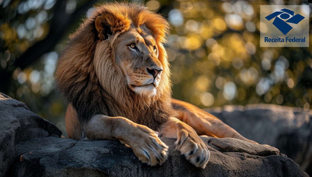Leao-em-cima-de-pedra-e-logo-da-receita-federal